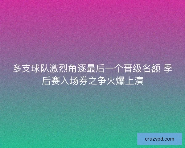 多支球队激烈角逐最后一个晋级名额 季后赛入场券之争火爆上演